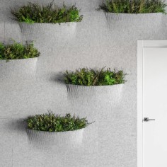 Jardineras de Pared Acústicas OTOgreen Wall
